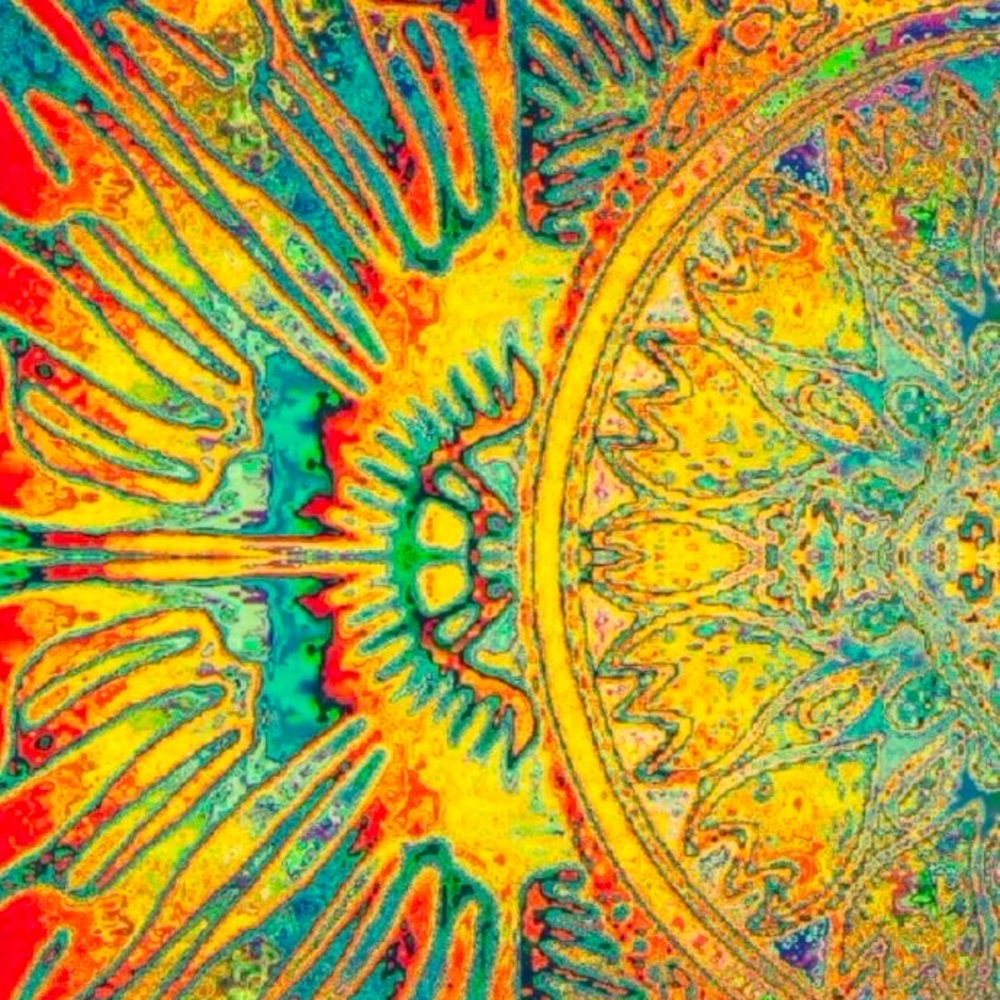 Meet your Posher, ᥴꫝꪖ𝕣ꪶꪮ𝕥𝕥ꫀ